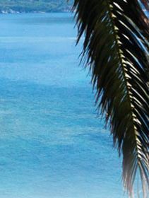 Budva Hotels