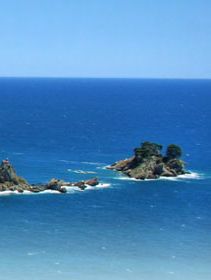 Petrovac Hotels