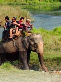 Sauraha Hotels