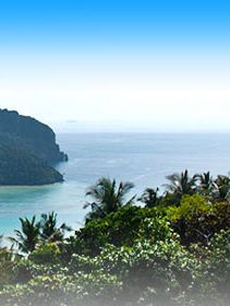Ko Phi Phi Hotels